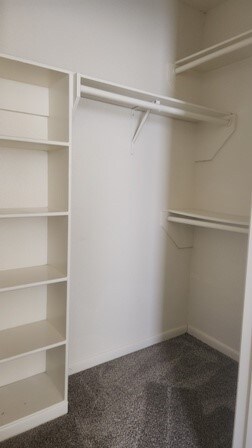 spacious closet with dark colored carpet