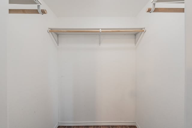 spacious closet featuring wood-type flooring