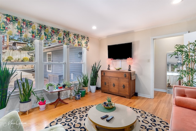 living room featuring light hardwood / wood-style floors and ornamental molding