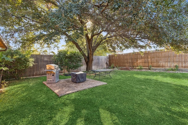 view of yard with a patio area