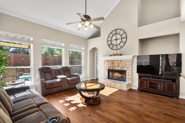 living room featuring lofted ceiling, hardwood / wood-style flooring, a wealth of natural light, and a stone fireplace