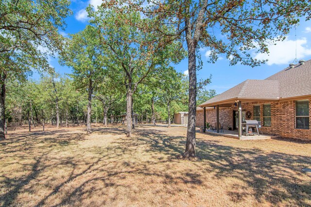 view of yard with a shed and a patio