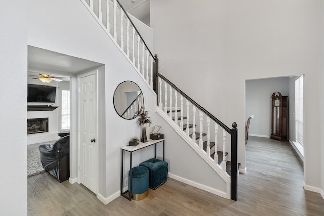 stairs with hardwood / wood-style floors, ceiling fan, and a high ceiling