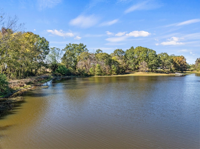 view of water feature