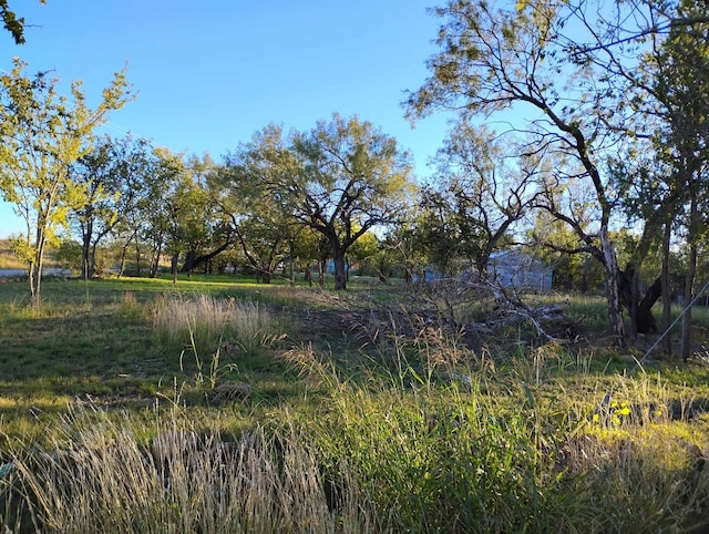 816 3rd St, Coleman TX, 76834 land for sale