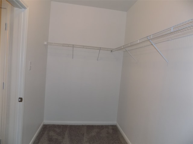 spacious closet with dark colored carpet