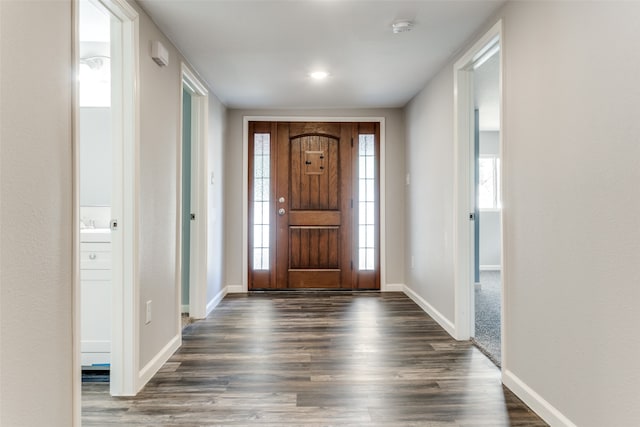 foyer featuring dark wood-type flooring and a wealth of natural light