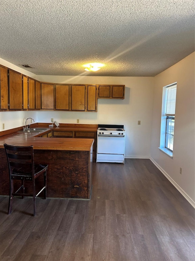 kitchen with a textured ceiling, sink, dark hardwood / wood-style floors, and white stove