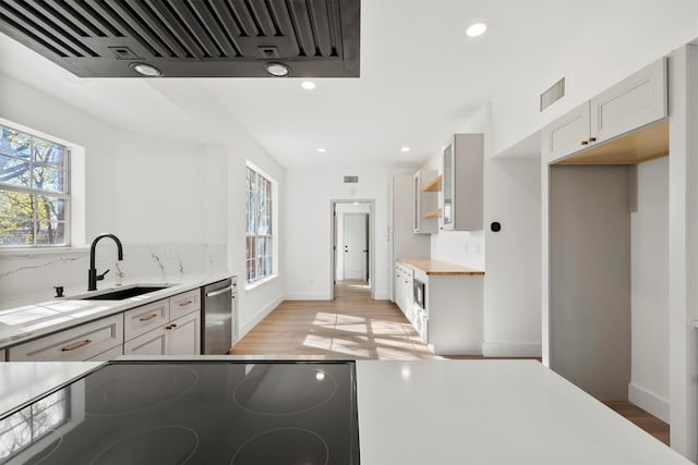 kitchen with sink, range, range hood, stainless steel dishwasher, and light wood-type flooring