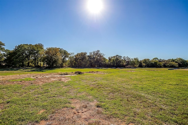 view of yard featuring a rural view