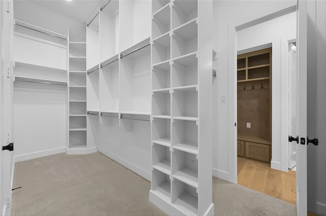 walk in closet featuring light colored carpet