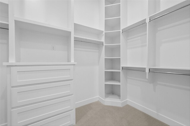 spacious closet with light carpet