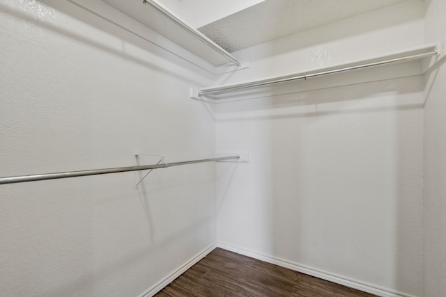 spacious closet featuring dark hardwood / wood-style floors