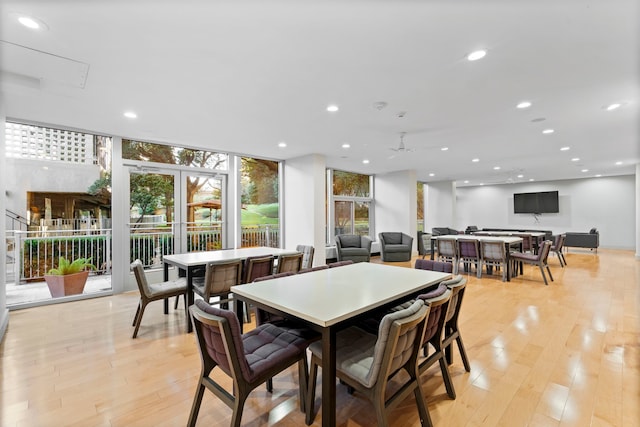 dining space with plenty of natural light, ceiling fan, and light wood-type flooring