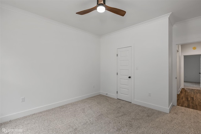 empty room featuring carpet, ceiling fan, and ornamental molding