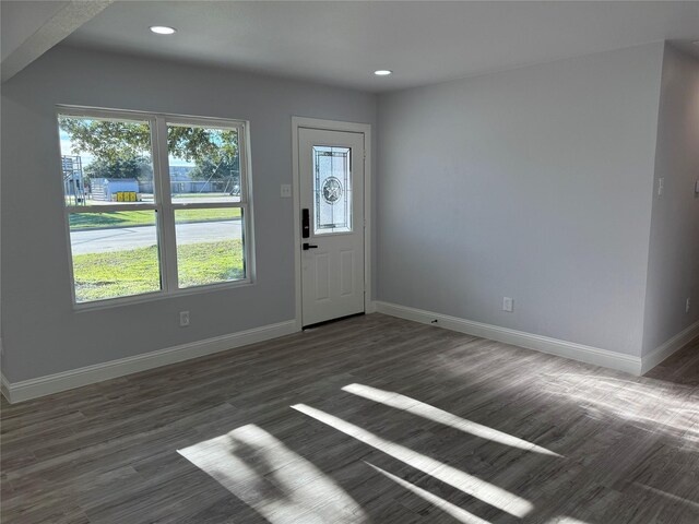 foyer entrance with dark wood-type flooring