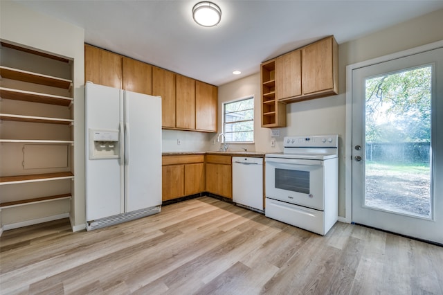 kitchen with white appliances, light hardwood / wood-style flooring, a wealth of natural light, and sink