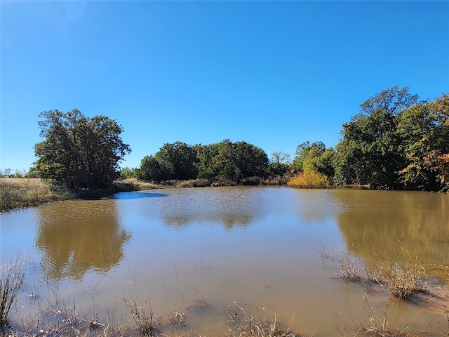 18798 County Road 441, Cross Plains TX, 76443 land for sale