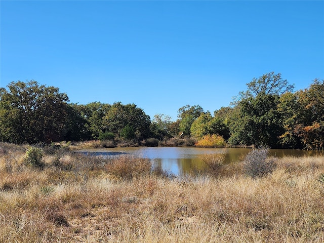 Listing photo 2 for 18798 County Road 441, Cross Plains TX 76443