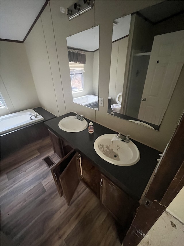 bathroom featuring hardwood / wood-style floors, vanity, and a bath