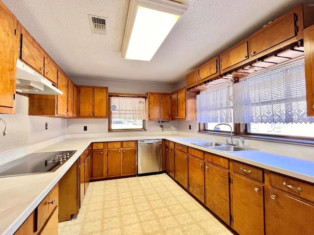 kitchen featuring black electric cooktop, sink, stainless steel dishwasher, and a textured ceiling