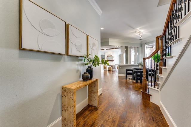 interior space with wood-type flooring and crown molding