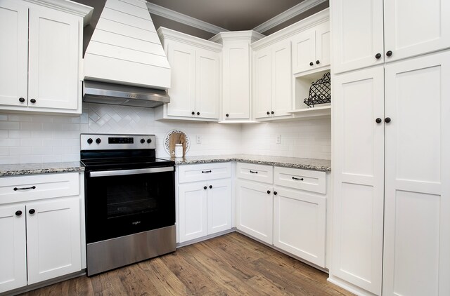 kitchen with light stone countertops, electric range, dark hardwood / wood-style floors, and white cabinetry