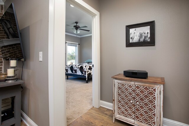 hallway featuring light hardwood / wood-style floors and crown molding