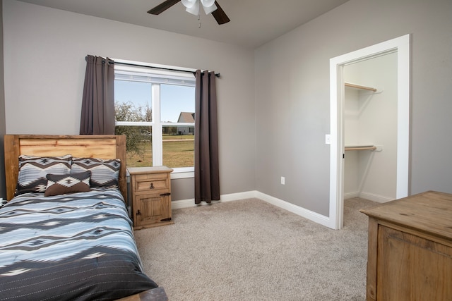 carpeted bedroom featuring a walk in closet and ceiling fan