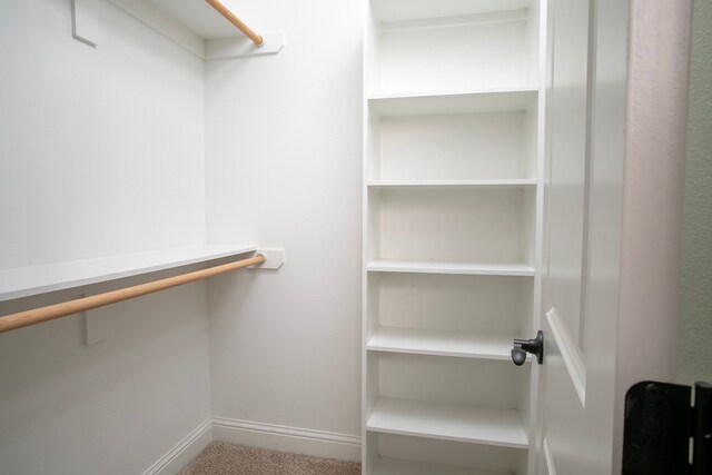 walk in closet featuring carpet