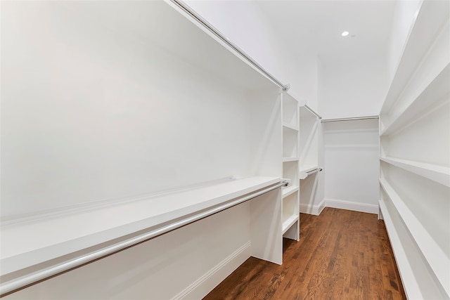 walk in closet featuring dark wood-type flooring