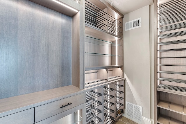 spacious closet with visible vents