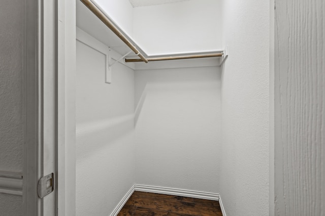 walk in closet featuring wood-type flooring