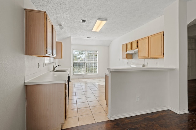 kitchen with lofted ceiling, sink, a textured ceiling, and light wood-type flooring