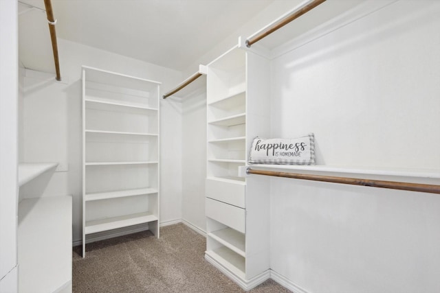 walk in closet featuring carpet flooring