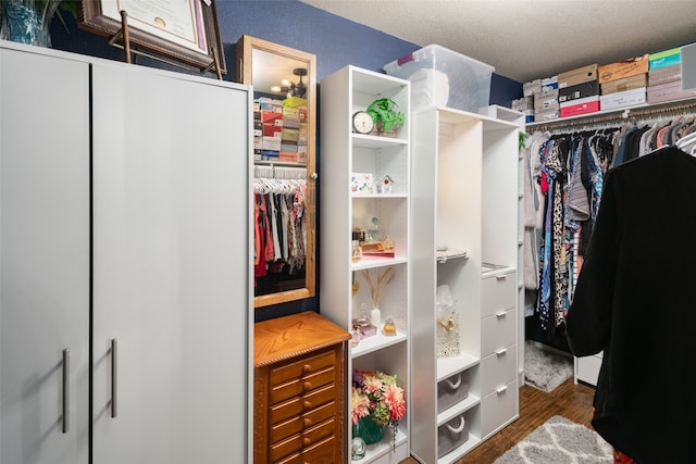 walk in closet featuring dark hardwood / wood-style floors