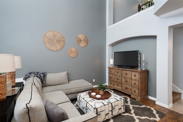 living room featuring hardwood / wood-style floors and a towering ceiling