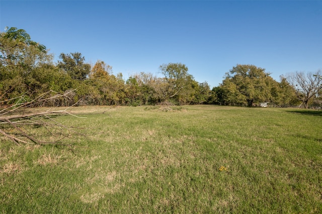 view of yard featuring a rural view