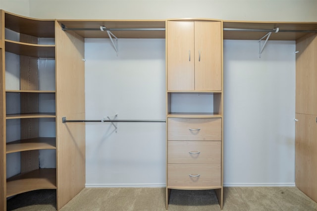 walk in closet featuring light colored carpet