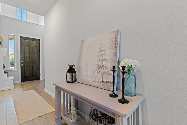 entrance foyer with light hardwood / wood-style floors