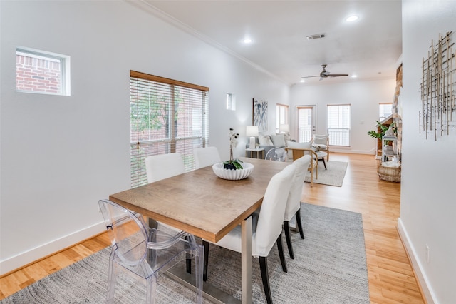 dining space with ceiling fan, light hardwood / wood-style floors, and crown molding