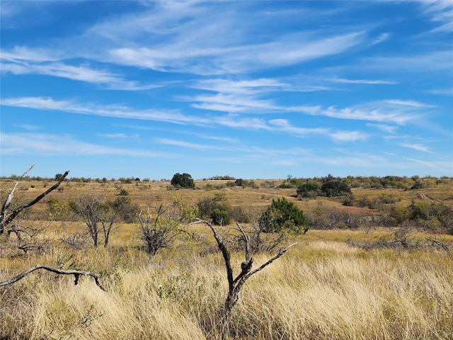 TBD County Road 238, Comanche TX, 76442 land for sale