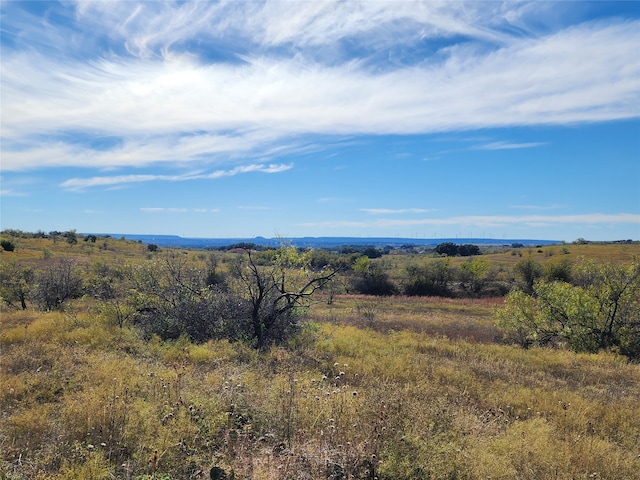 Listing photo 3 for TBD County Road 238, Comanche TX 76442