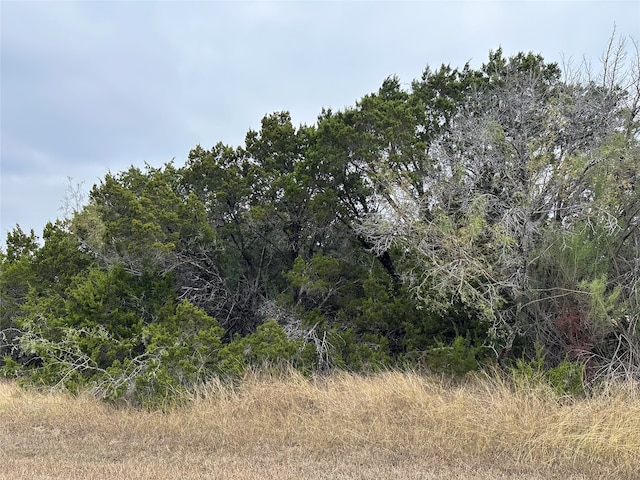 33029 Woodcrest Dr, Whitney TX, 76692 land for sale