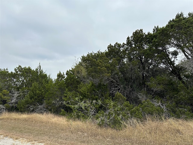 43031 Cedar Hill Dr, Whitney TX, 76692 land for sale