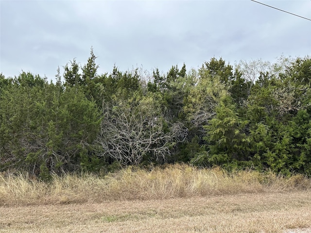 43100 Coneflower Dr, Whitney TX, 76692 land for sale