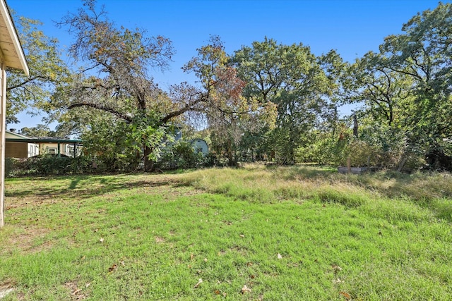 view of yard