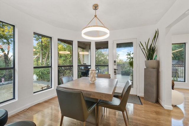 dining space featuring light hardwood / wood-style flooring and plenty of natural light