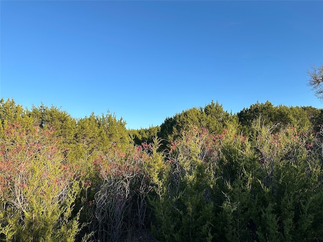 LOT659R Canyon Wren Loop, Graford TX, 76449 land for sale