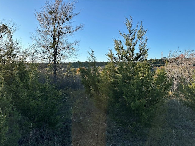 Listing photo 2 for LOT659R Canyon Wren Loop, Graford TX 76449